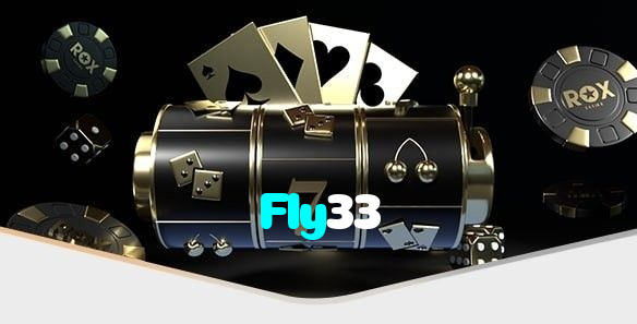 Fly33